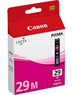  CANON_PGI-29M